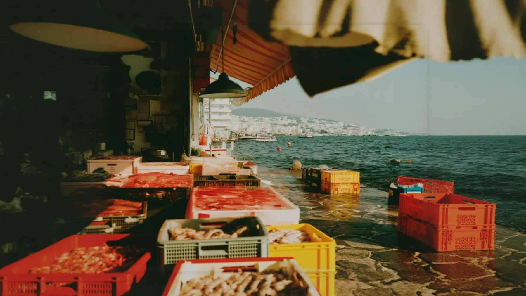 A working harbor market, representing the trades, services, and recurring public life that a cozy mystery resolution must repair.