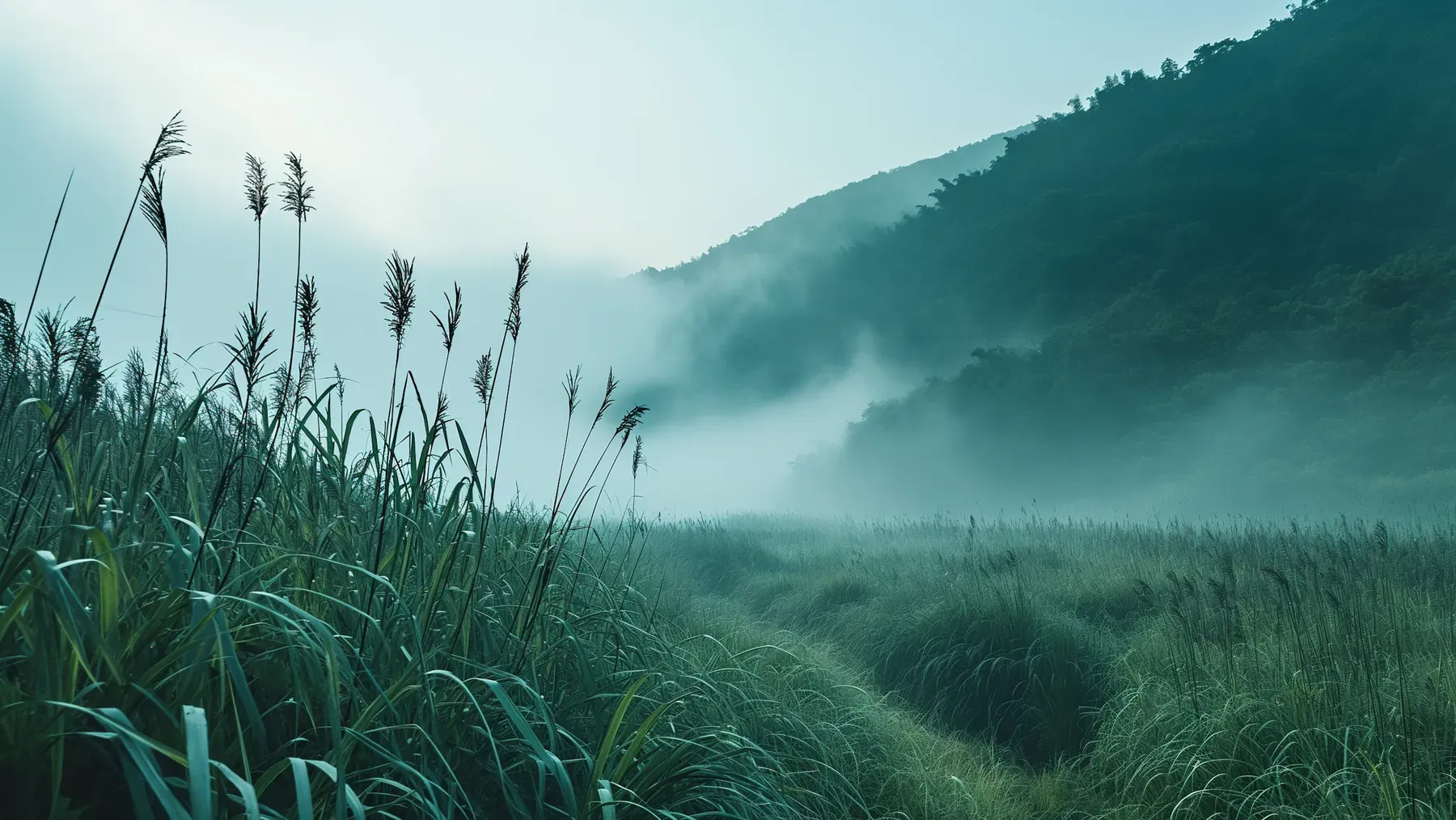 Edda Alternatives for Novelists Comparing Offline Writing Studios