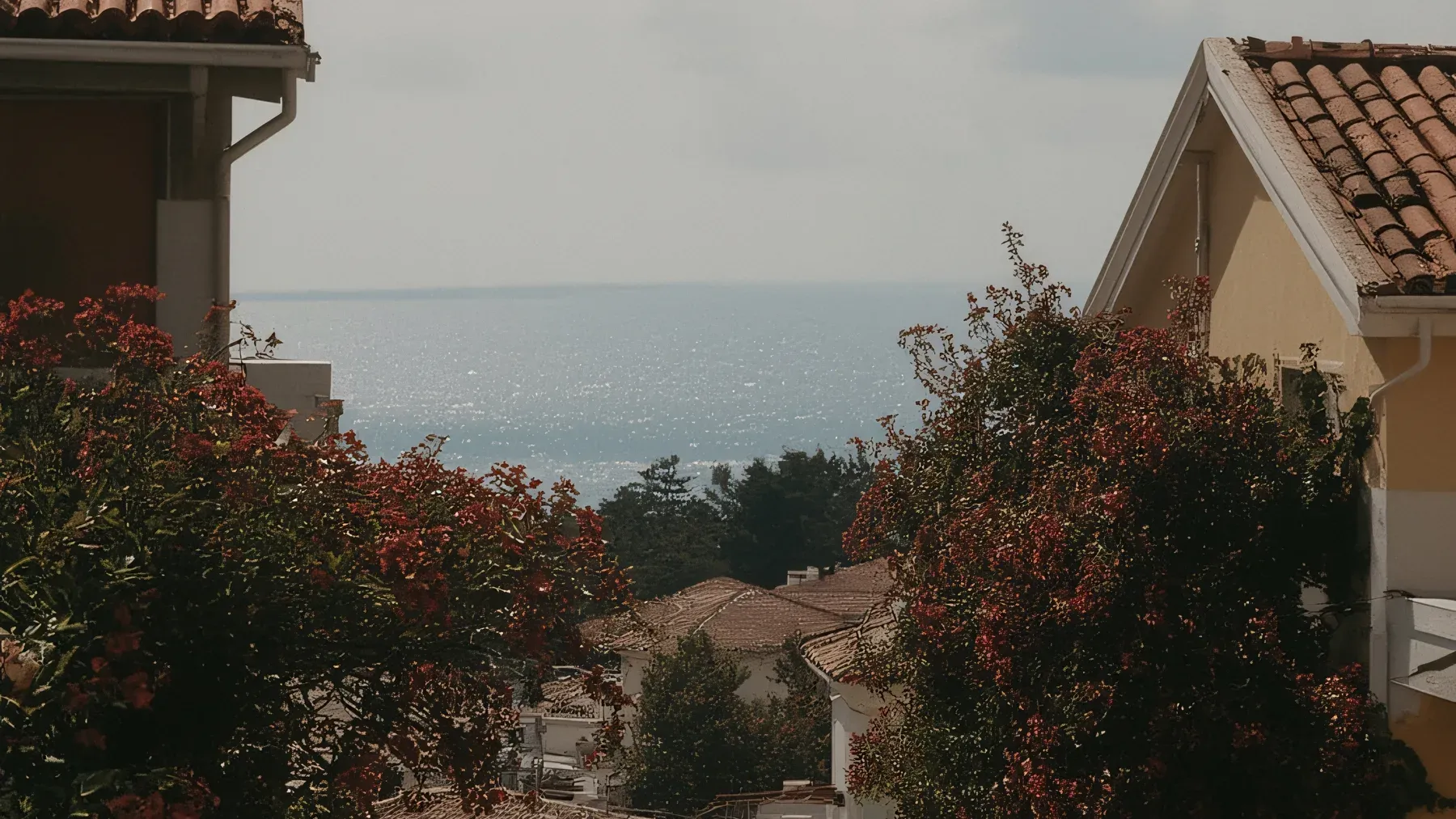 A coastal street descends between houses toward the water, familiar in shape while every occupied home records the years that passed.