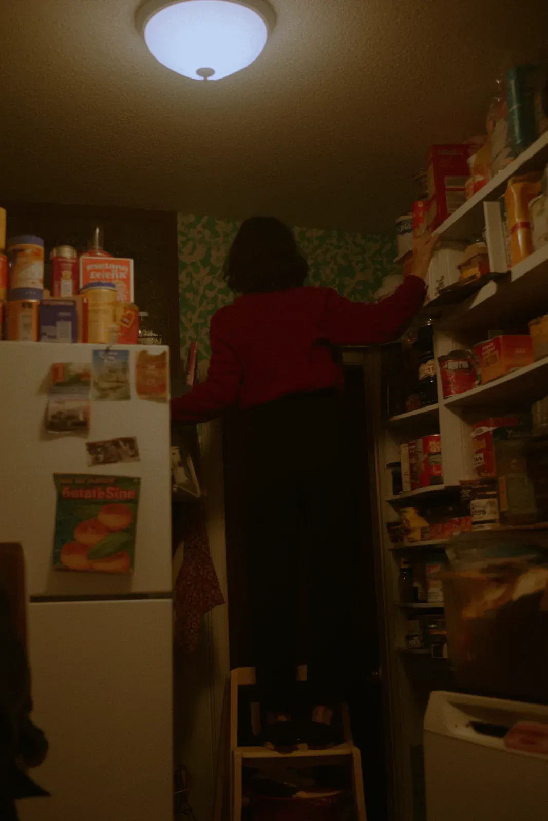 A person searching a crowded pantry, with attention narrowed toward objects connected to a specific purpose.