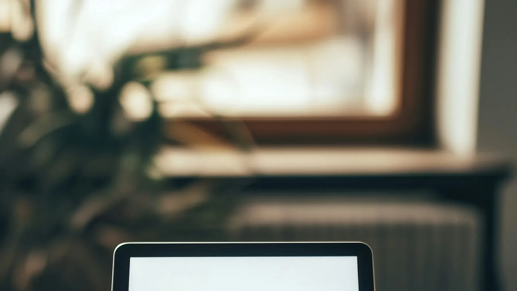 Vellum Alternatives for Authors on Windows, a Budget, or a Deadline